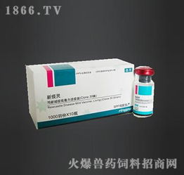 预防鸡新城疫用什么药