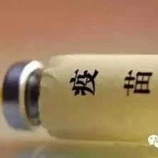 海利生物:加大对非洲猪瘟疫苗产品的研发力度