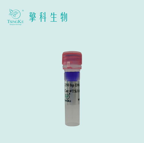 核酸电泳凝胶 价格 采购 供应商信息