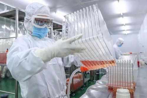 我国又一个新冠病毒疫苗附条件上市 走进生产车间看一看