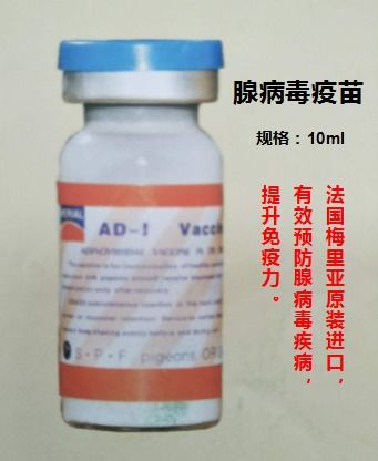 腺病毒疫苗产品展示
