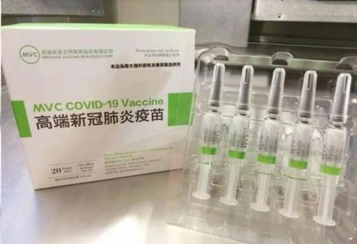打完 高端 的蔡英文连 过境 美国的机会都没了