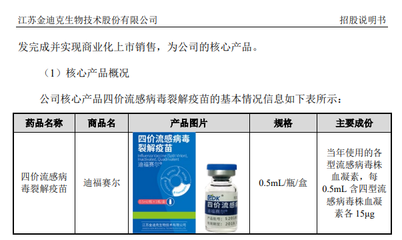 图片来源:公司招股书