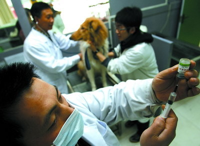 宠物医院为小动物免费注射狂犬疫苗