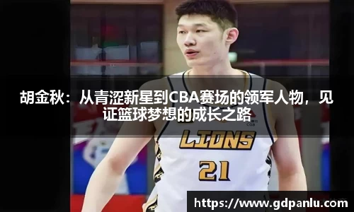 bsports登录入口