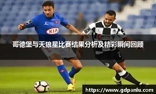 bsports登录入口