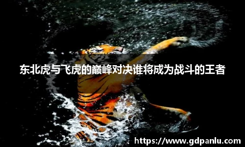 bsports登录入口