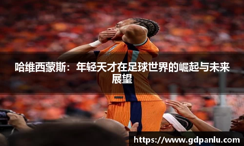 bsports官网入口