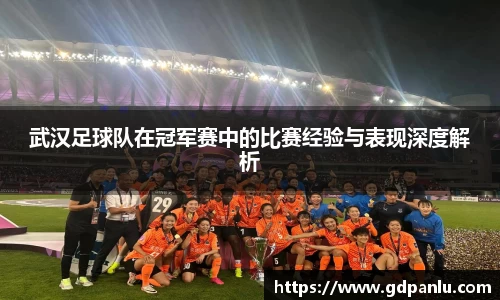 bsports官网入口