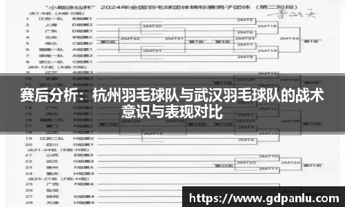 赛后分析:杭州羽毛球队与武汉羽毛球队的战术意识与表现对比
